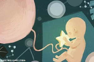 借卵代怀代生